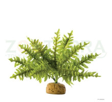 Exo Terra Boston Fern Small Декоративный папоротник для террариума