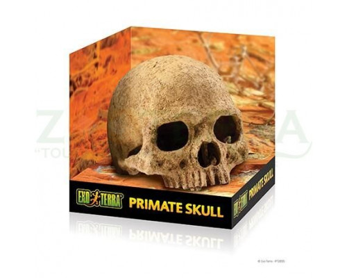 Exo Terra Primate Skull Натуральное укрытие «Череп примата» для террариума
