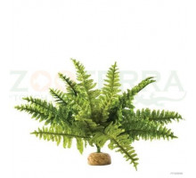 Exo Terra Boston Fern Medium Декоративный папоротник для террариума
