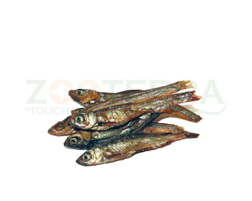 Prodac Tartafood Fish 1200 ml / 200 gr