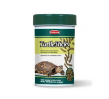 Turtle Sticks