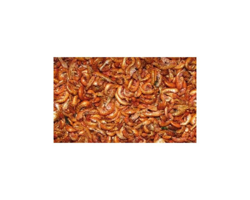 Dajana Gammarus 10 gr