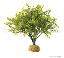 Exo Terra Boxwood Bush Декоративный кустарник для террариума